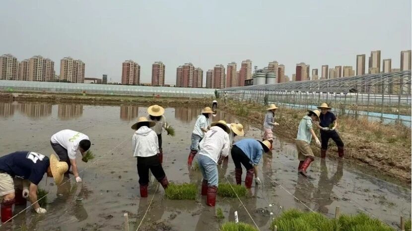 微信图片_2025-12-29_160318_671.jpg